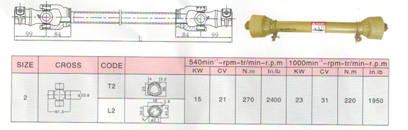 1563333311855087.jpg T2.jpg